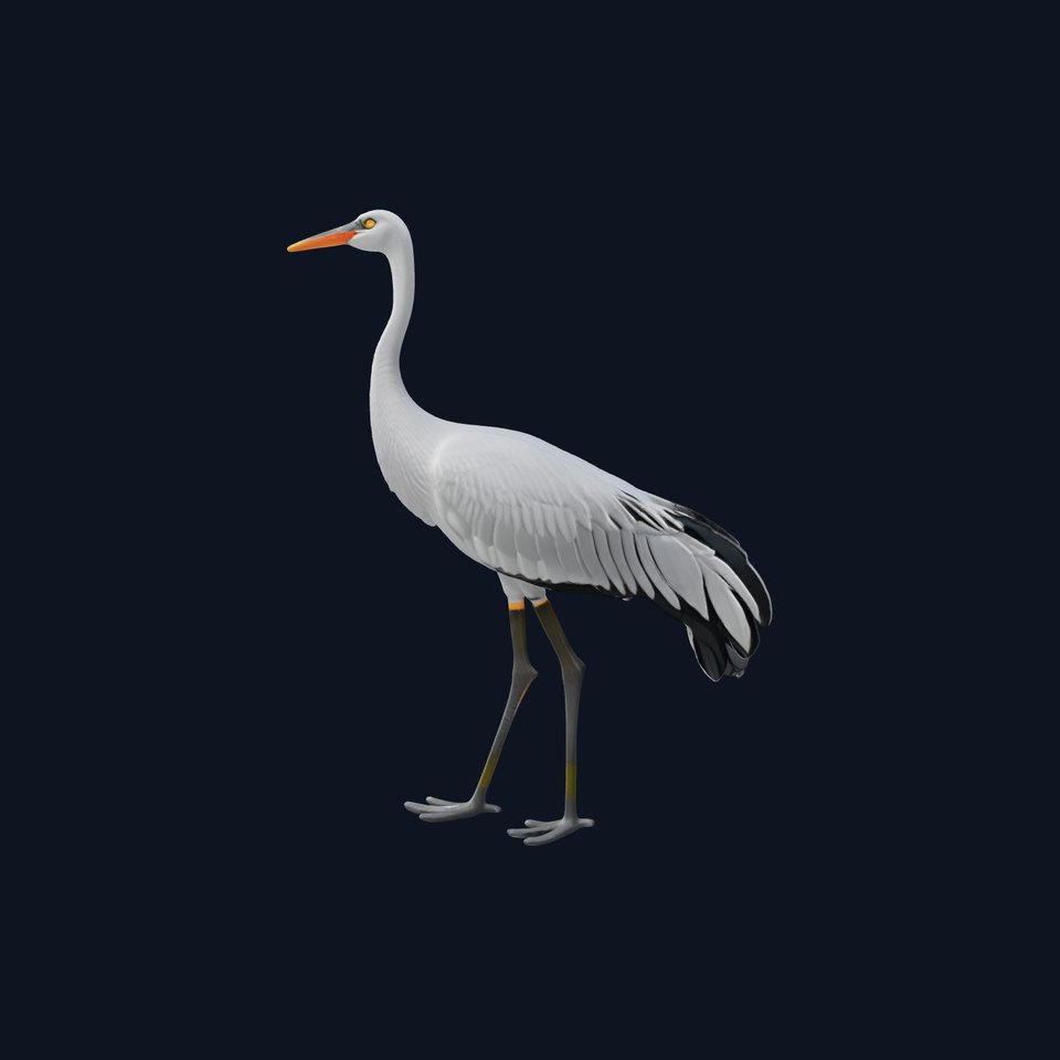Elegant Crane Bird Realistic 3D Model